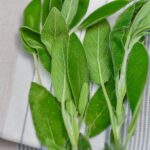 Sage-benefits.jpg