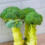 What-is-broccoli.jpg